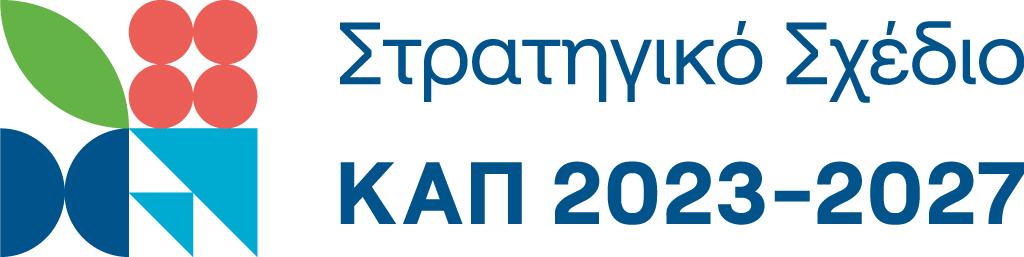CAP Strategic Plan GR