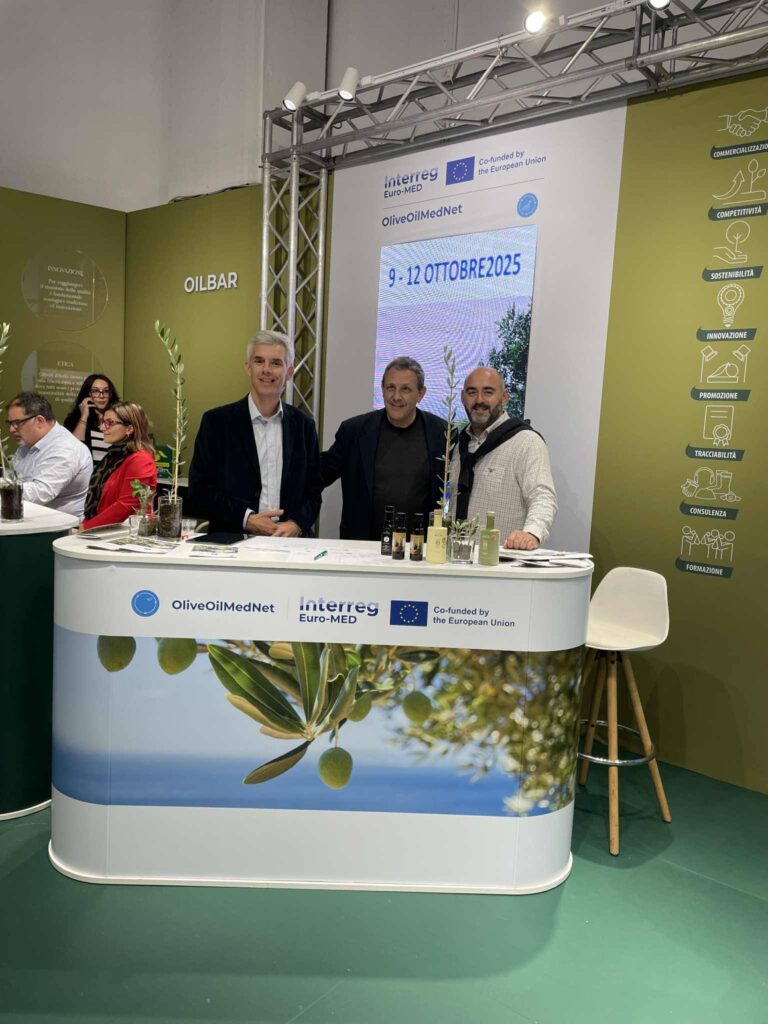 605653437 1165976272369468 4864503091483005870 n