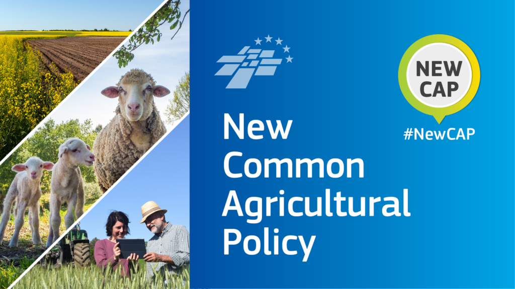 SocialMedia NEW CAP V03 4 Dcw1TcSzPvNZh1ZWJTyp2gXfgk 72688