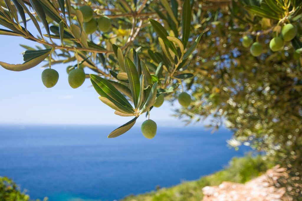 tree 1754051 1280 1024x682